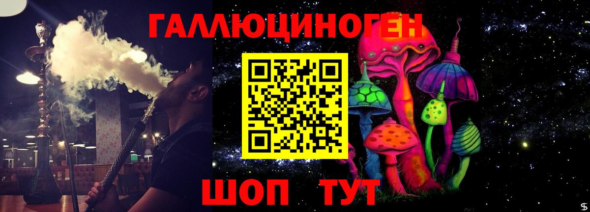 Галлюциногенные грибы Psilocybe Волхов
