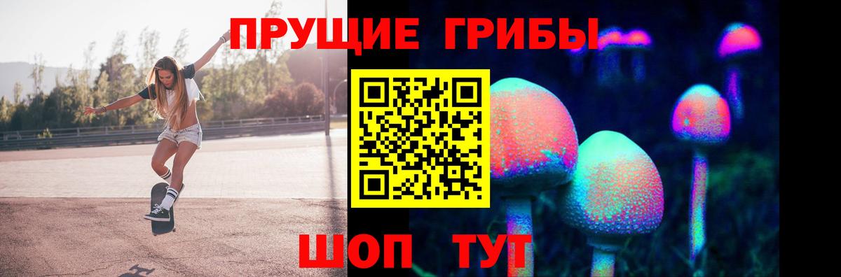 Псилоцибиновые грибы Psilocybe  Вход с VPN  Волхов 
